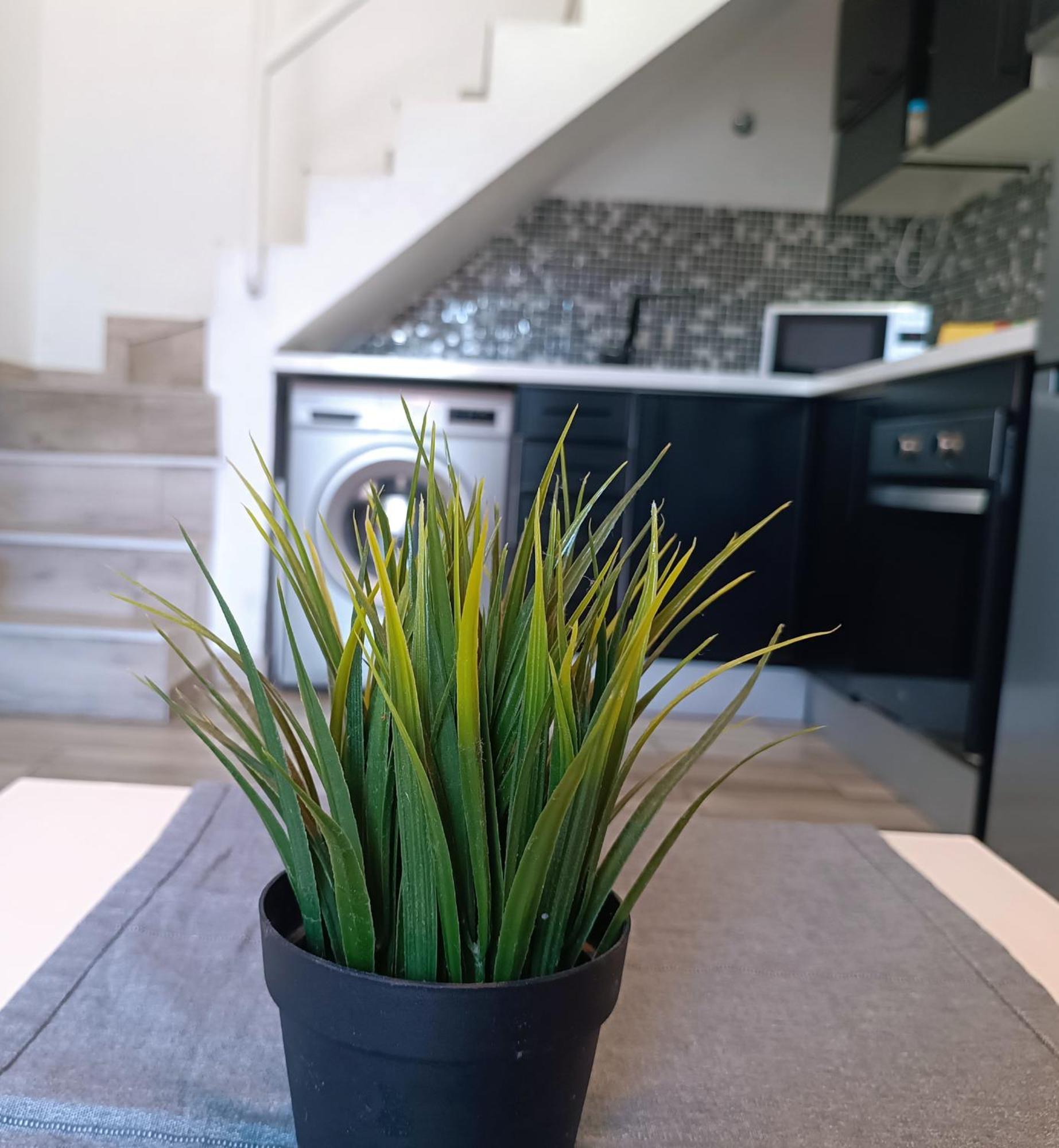 Bungalow Dunaflor Wifi Маспаломас Екстериор снимка